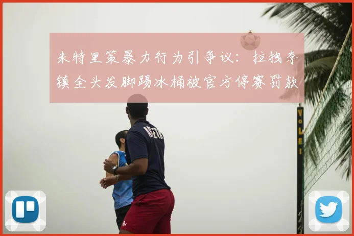 米特里策暴力行为引争议：拉拽李镇全头发脚踢冰桶被官方停赛罚款