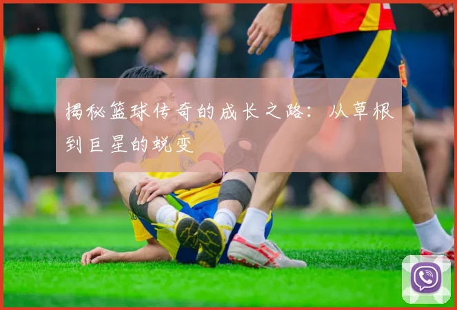 揭秘篮球传奇的成长之路:从草根到巨星的蜕变