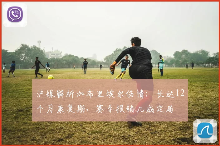 沪媒解析加布里埃尔伤情:长达12个月康复期,赛季报销几成定局