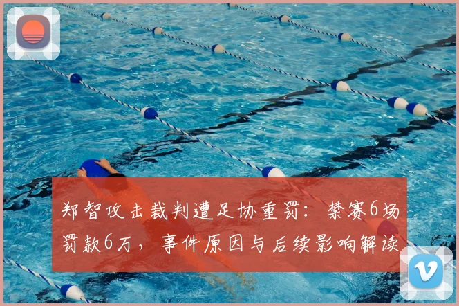 郑智攻击裁判遭足协重罚：禁赛6场罚款6万，事件原因与后续影响解读
